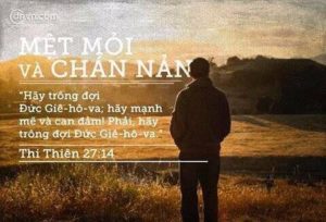 13450729_695098990629403_5623643124694991602_n